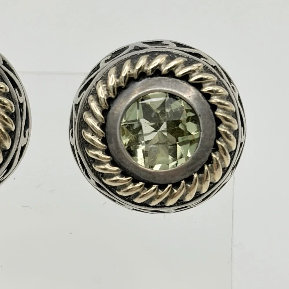 Arts Elegance AE Sterling Silver 14k Yellow‎ Gold/925 Pierced Earrings